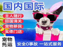 铜仁凤凰航空邮寄国际宠物托运 【国